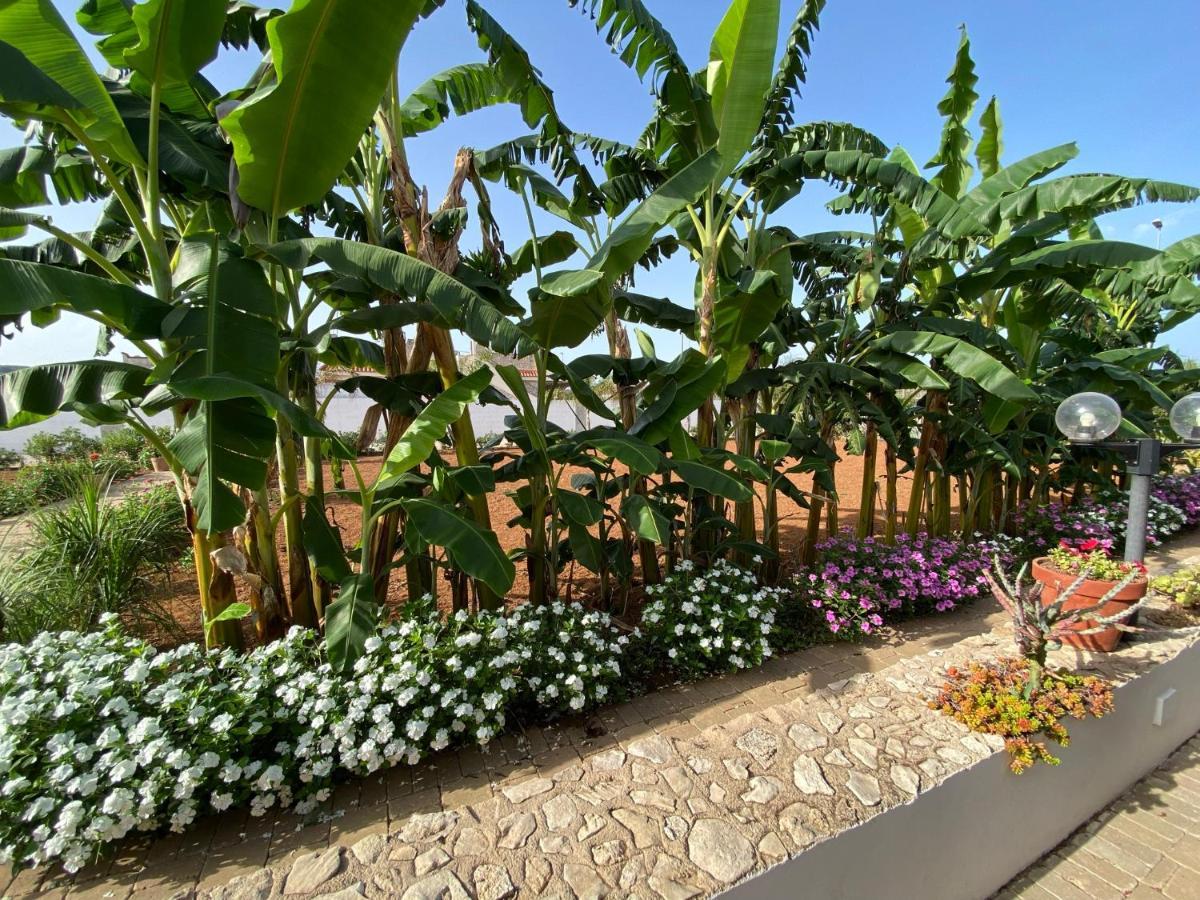 B&B Fellini Gallipoli Exterior foto